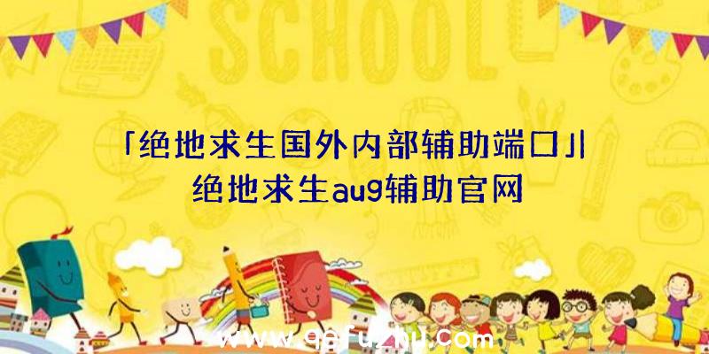 「绝地求生国外内部辅助端口」|绝地求生aug辅助官网